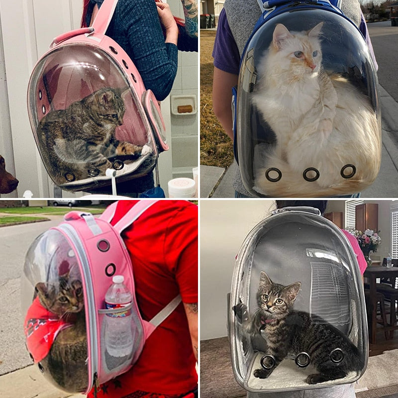 Le meilleur sac de transport pour chat - Chiens & Chats Boutique